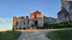 3fc801c7-2e05-44b6-8ca1-dcc715d07401