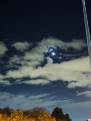 5af5697a-b2f8-44c0-a797-f3d3097eefcb