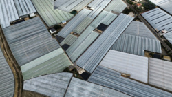 ce190ef7-23ba-4c59-9af0-83d0ee116a01