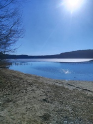 9803d334-51fd-43f9-a3c5-ae114516b209