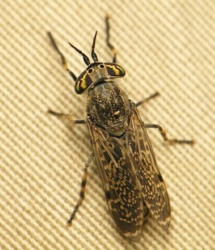 954d249d-1b1f-40aa-9916-53b91c89fe98