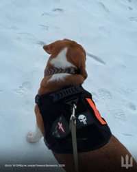 d4eeb4c8-2877-4696-9e98-7baa4acd542f