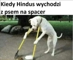 bace0846-9277-4201-8986-a0c0e85596a5