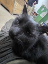 cb3aade3-ba9d-4465-955d-679f416490ec