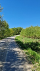 8e650793-8583-4118-a1f9-6da88fc8ee56