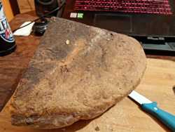 fb2f16d9-9d92-4fa6-abe1-f55af5689f92