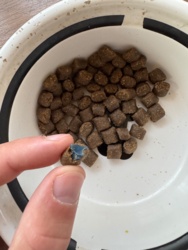 27d01f14-d5c1-4504-af7a-af8b1829ba74