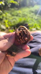 0be8b248-b16b-4507-bd5b-e505924d6b74