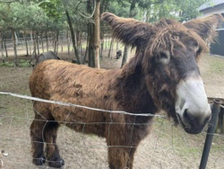 bce5ca4f-acf3-4332-8ff3-5a650cdc1d8d