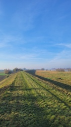 85199d53-5629-4556-af6b-5657a5375536