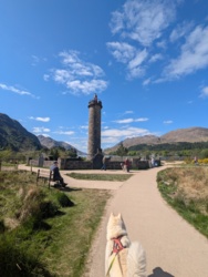 9a511fba-f505-4ef8-bafa-f740f1e0f783