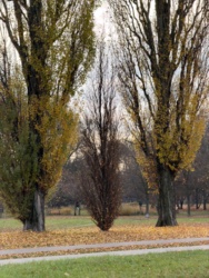 fa51022f-46e1-46e4-a9af-d5060303828e