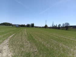 21eee055-afae-4287-9764-5113e90c74c5