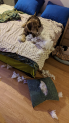 9dd39cbb-43ad-4707-9aa4-064ce7c88290