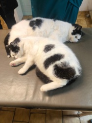 e1a3d3b9-57a7-405a-8492-5d0851f51b79