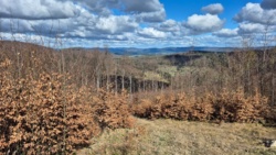 70807cdb-97bc-4003-a7aa-9085a5554b0d