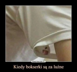 01db84b6-f464-48fe-a95a-6b65553b5f93