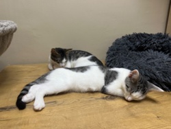 06425efa-3ae9-4157-b1aa-935d1801c4e0