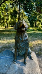 86b7dcff-cade-45bb-8ee2-425cef333a4a