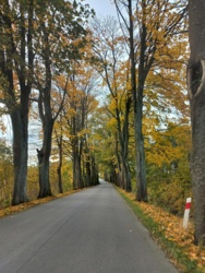 84434672-89f1-4348-8393-028eeddffdc8