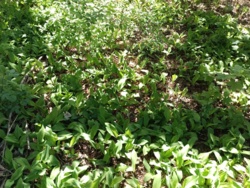 6bd30d79-6f85-4a9d-8ec8-d6c16162a44c