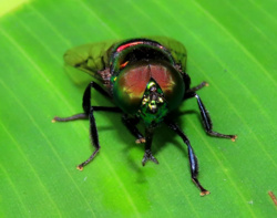 368c2e13-aa87-4b0a-b045-6014f6f2477a