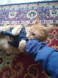 a2e143b1-ede4-4856-9e3e-afa6120770d0