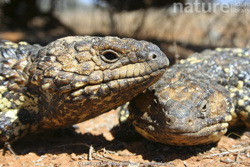 829bf580-cff9-465a-a967-fbff34a55bc7