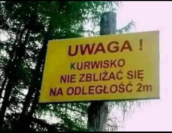 8d45fbaa-5490-4113-9edd-f0a3d3144e60