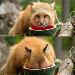 8e0880fc-cb55-4f1e-a6b6-03cd404cc136