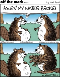 4aa6beaa-b14b-4021-bf78-8e13548b2a46