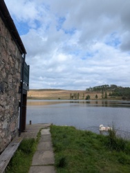 3aef2c32-2a23-4dba-8f94-449b572da7c4