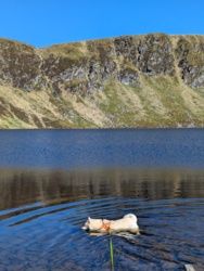 6f16fa9d-7727-419a-8a36-8d1bece2df7a