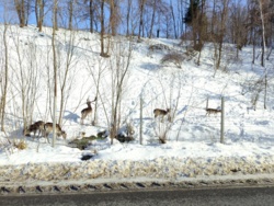 6e489d7e-9abb-4b70-9628-88e53c3e8a65