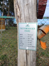 bbbf59c0-a84e-450b-8e67-28f5754f3de8