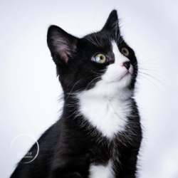 f874c51f-0556-4b53-9d84-541b7f3f106f