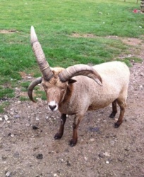 9f857a0f-305b-47c9-97d5-530bcfd5b49c