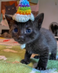 c6da75ef-8f9e-4692-9fb5-8376b02fb46c