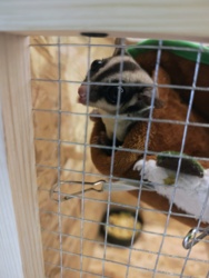 ccea6728-7b49-41b9-9175-640b0d143c03