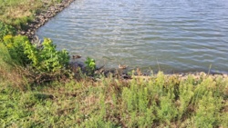 71ae517e-2ef0-46fc-80b4-ff29011fe321