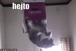 2ee5d520-e8a7-4839-901d-a793d7ce51a5