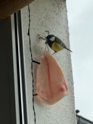 7599ecdd-20f4-492d-9818-389526a2a8d4