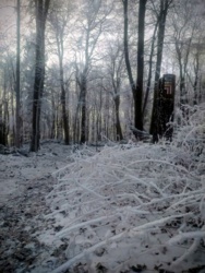 5e7e111b-696f-49d9-b528-994d14a44141