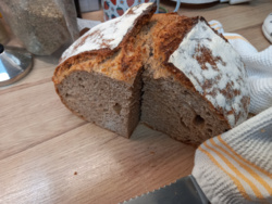 e9c3298e-ddf3-4952-96db-b6f67a3f0ed5