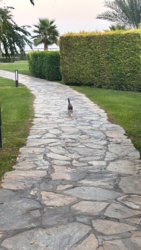 0df68970-4da3-4077-9256-022f324eaa21