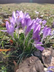 6bf246d7-76bf-4e16-9b00-808f6647f4b7