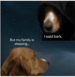 e53f0515-5be1-425c-880b-1307b28206db