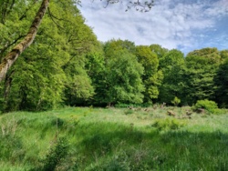 9d856234-1135-4247-955f-a6af04388965