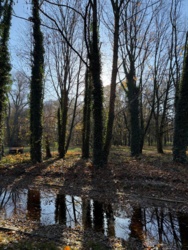 57a0ca9a-0e9b-4076-a96a-680ce327c518