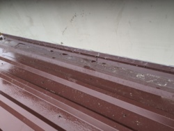 78889e28-e241-41a2-957c-fb5f08c30a07